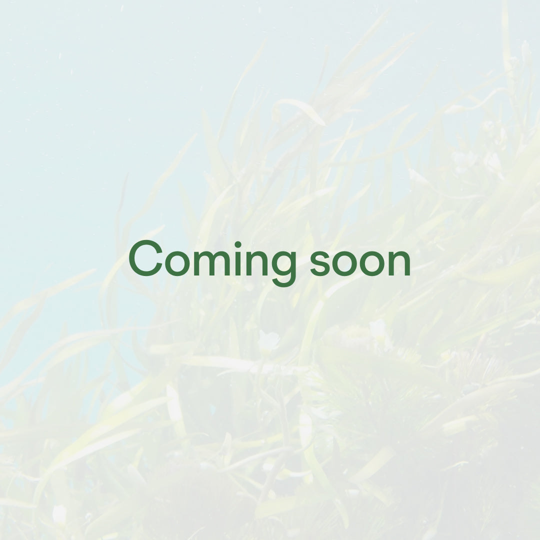 Neurostrol - Coming Soon