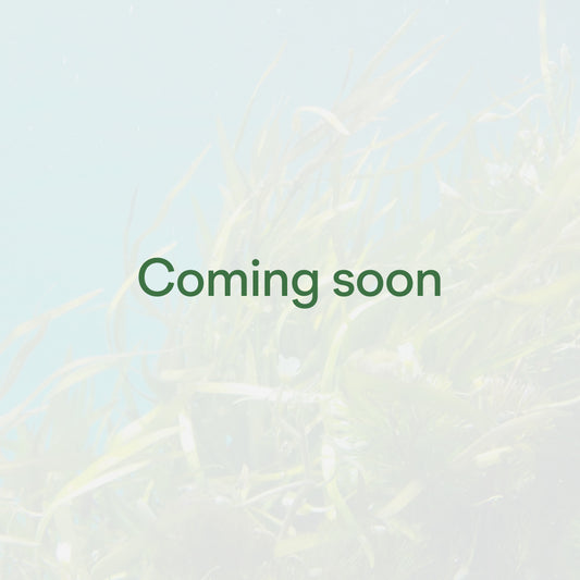 Neurostrol - Coming Soon