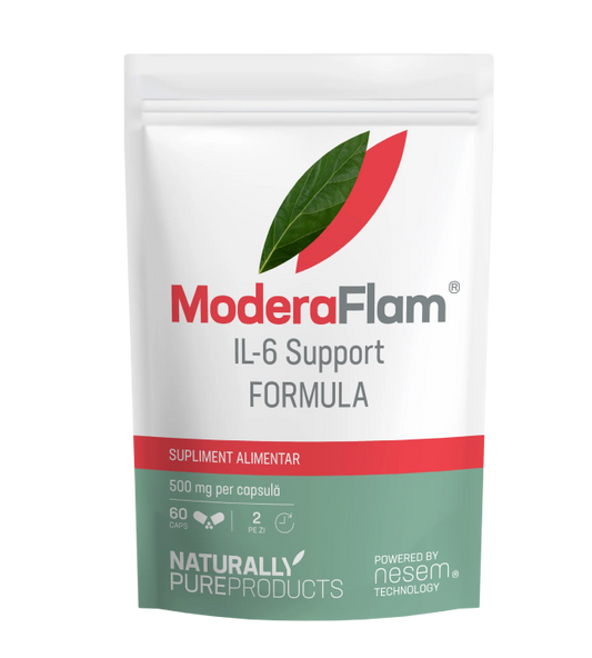 ModeraFlam
